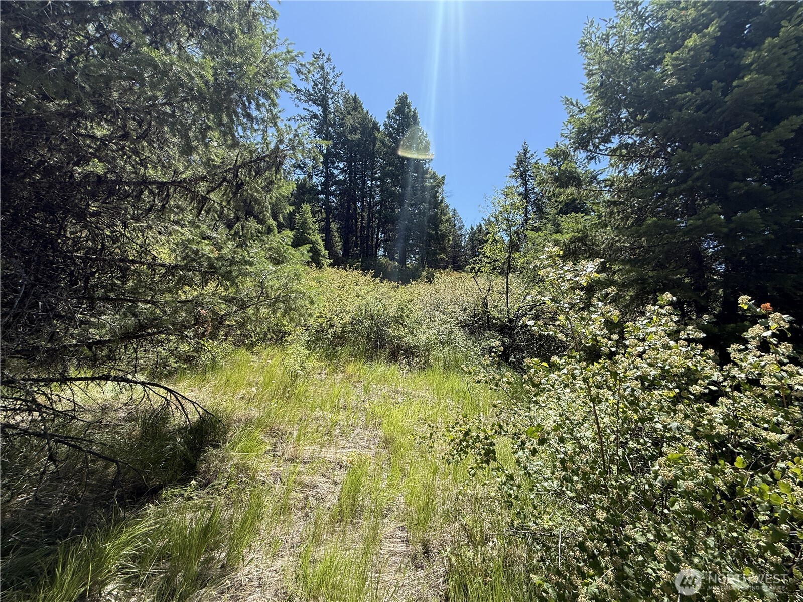 135 Slippery Hill Lane , Republic, WA 99166