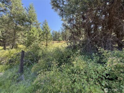 135 Slippery Hill Lane , Republic, WA 99166 - Photo 4