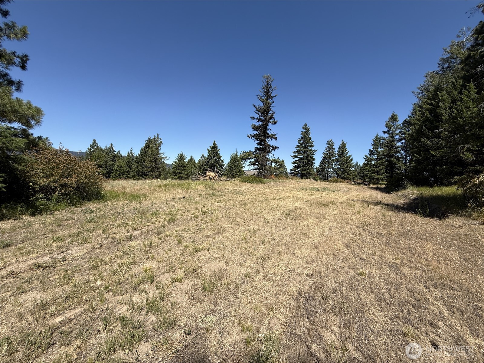 135 Slippery Hill Lane , Republic, WA 99166