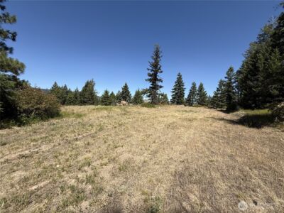 135 Slippery Hill Lane , Republic, WA 99166 - Photo 5