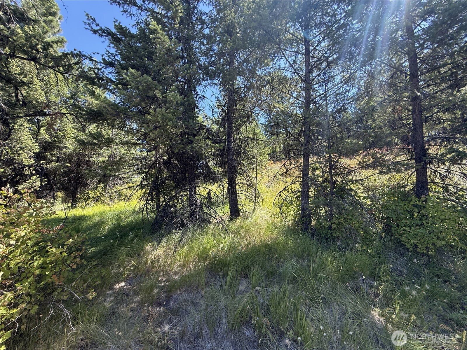 135 Slippery Hill Lane , Republic, WA 99166