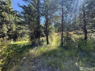 135 Slippery Hill Lane , Republic, WA 99166 - Photo 6