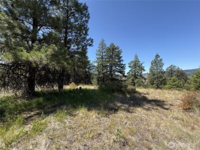 135 Slippery Hill Lane , Republic, WA 99166 - Photo 7