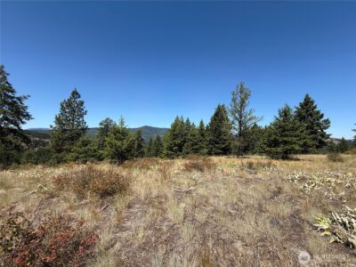 135 Slippery Hill Lane , Republic, WA 99166 - Photo 8