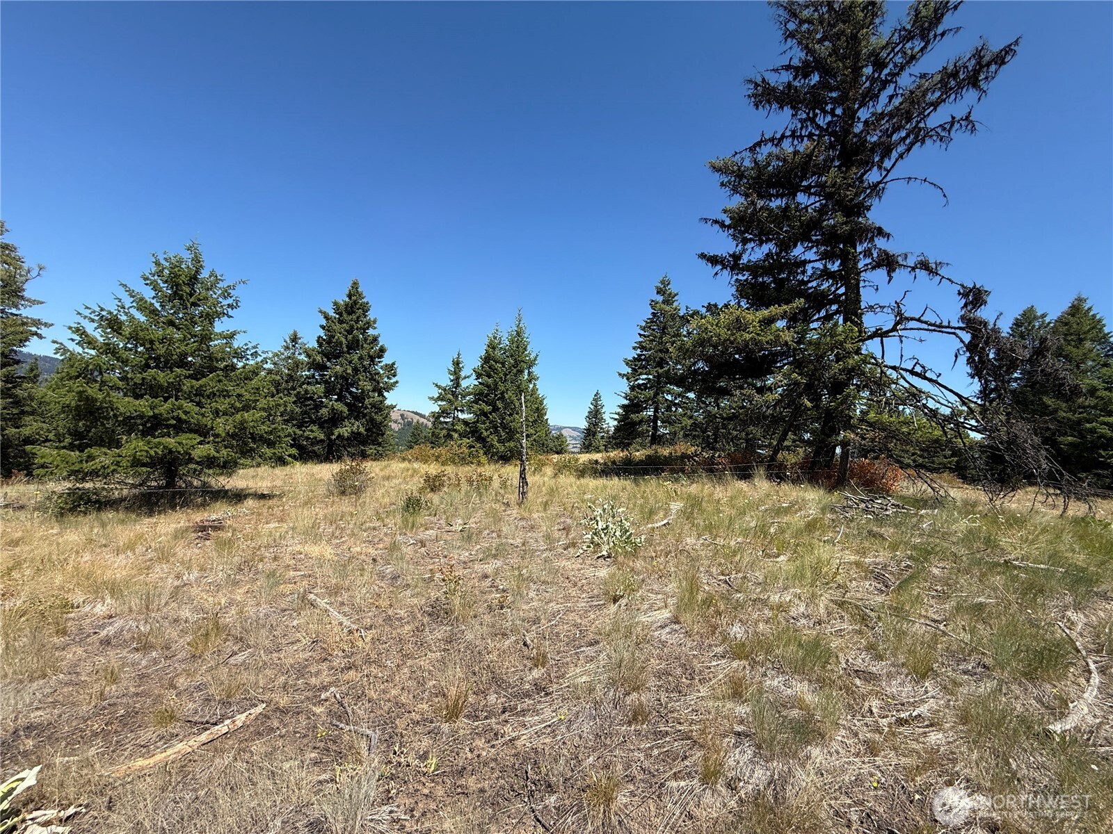 135 Slippery Hill Lane , Republic, WA 99166