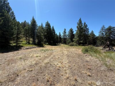 135 Slippery Hill Lane , Republic, WA 99166 - Photo 10