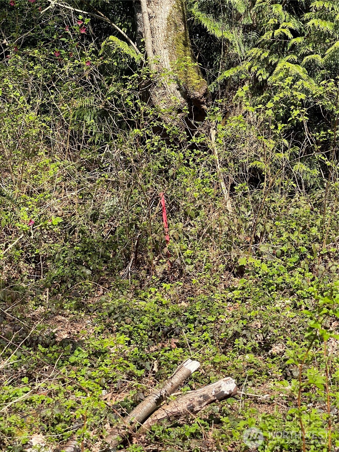 29 K Beach Way , Hat Island, WA 98206