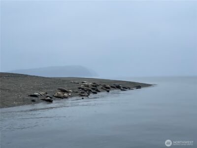 29 K Beach Way , Hat Island, WA 98206 - Photo 19