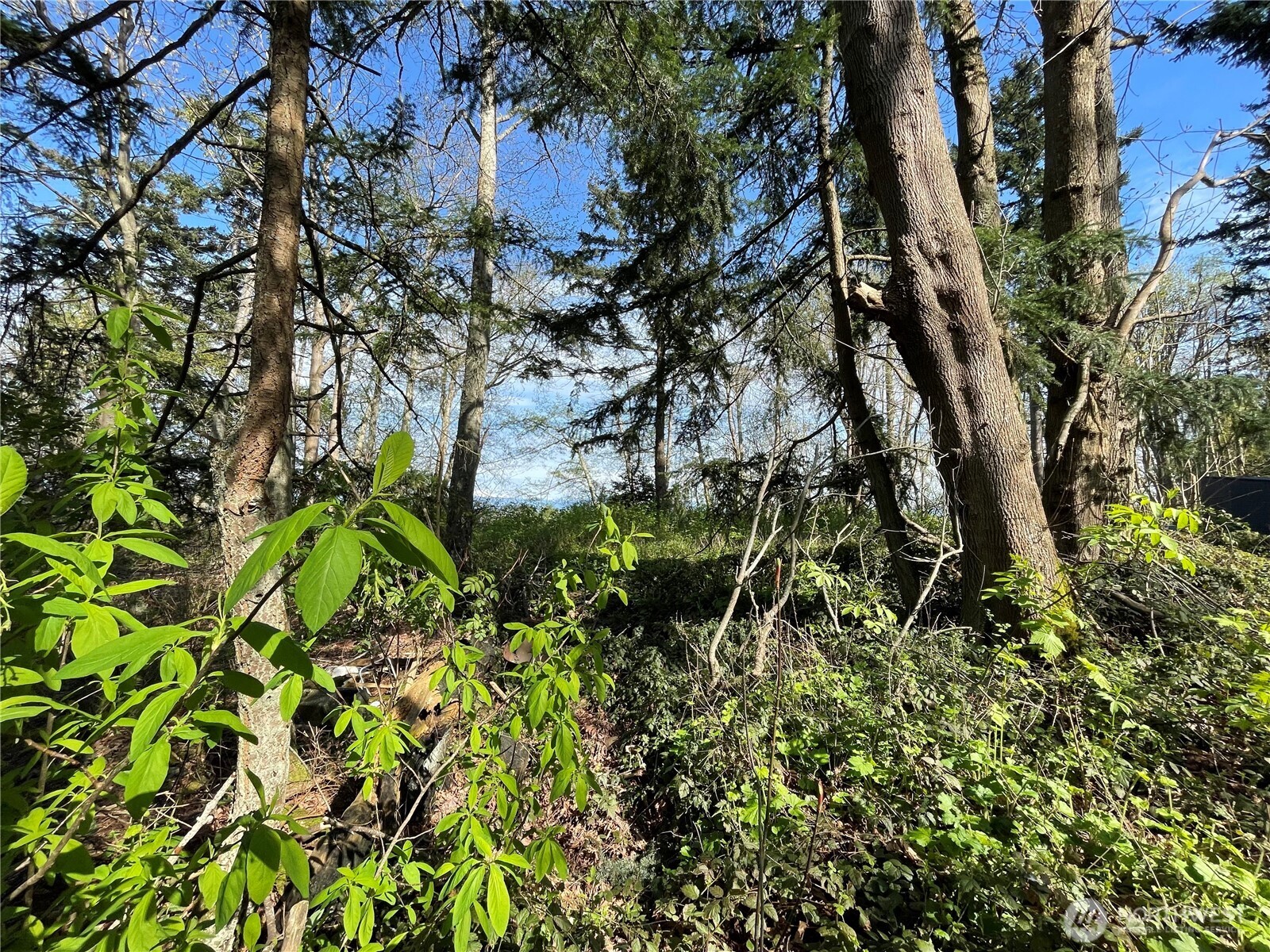 29 K Beach Way , Hat Island, WA 98206