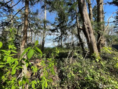 29 K Beach Way , Hat Island, WA 98206 - Photo 29