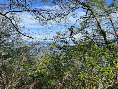 29 K Beach Way , Hat Island, WA 98206 - Photo 4