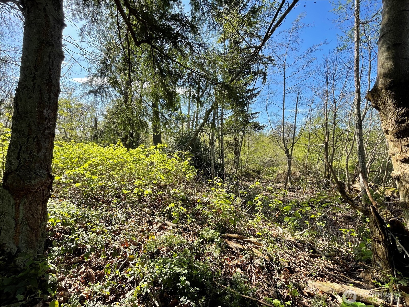 29 K Beach Way , Hat Island, WA 98206