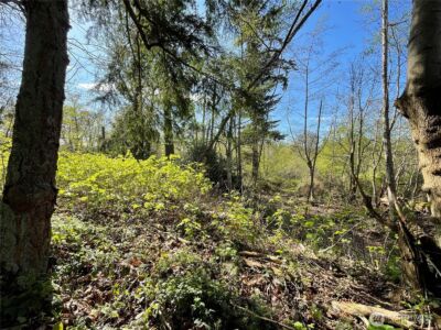 29 K Beach Way , Hat Island, WA 98206 - Photo 5