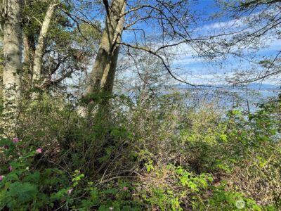 29 K Beach Way , Hat Island, WA 98206 - Photo 6