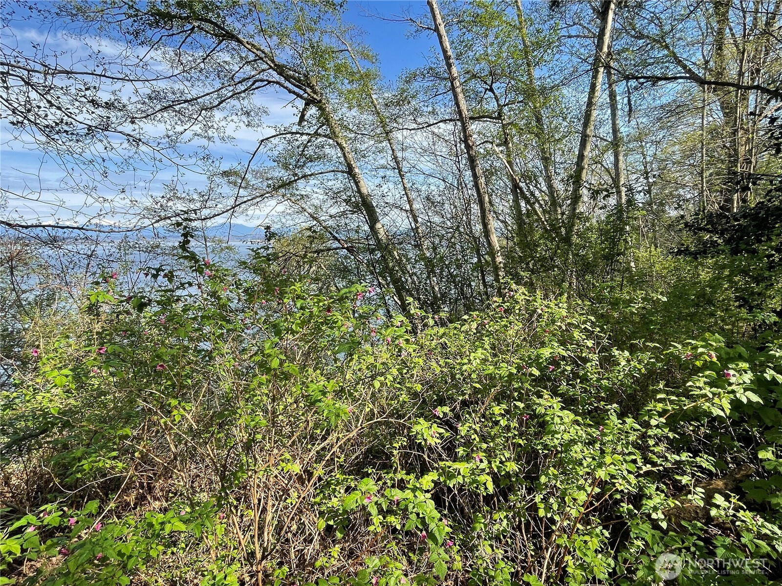 29 K Beach Way , Hat Island, WA 98206