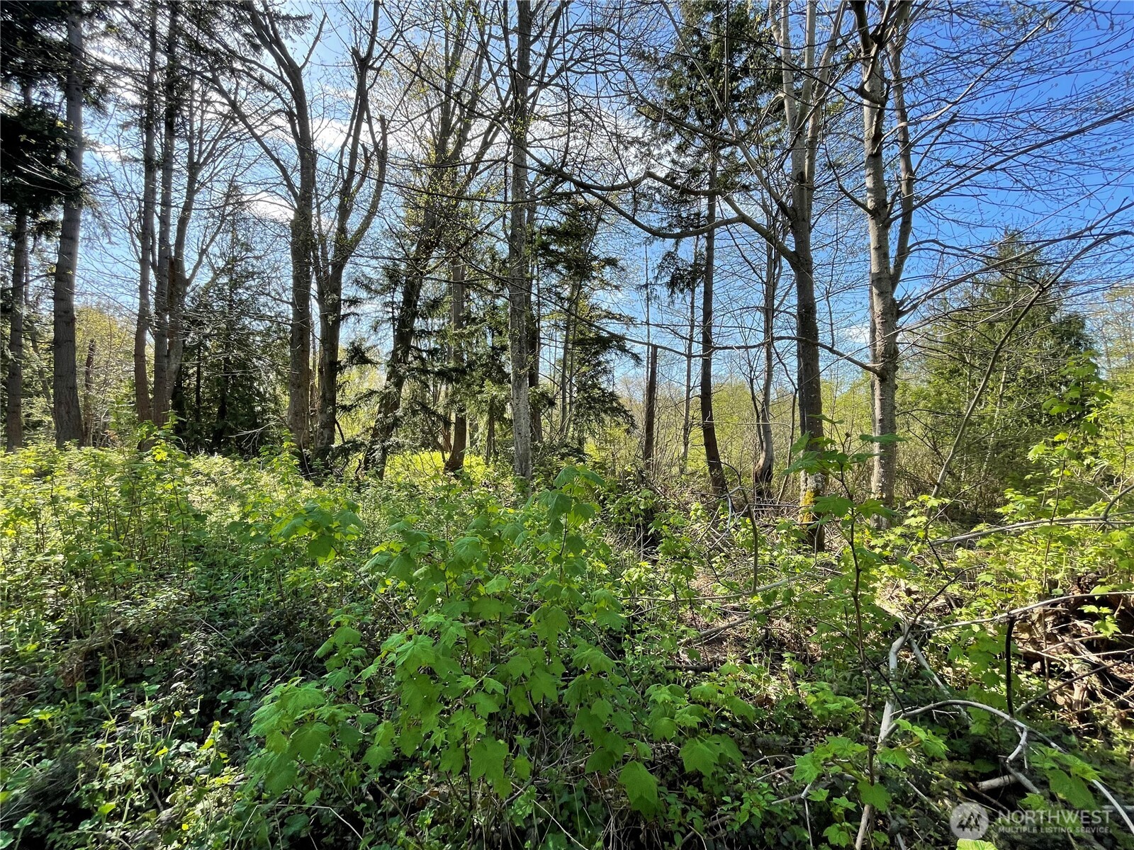 29 K Beach Way , Hat Island, WA 98206