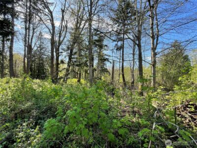 29 K Beach Way , Hat Island, WA 98206 - Photo 8