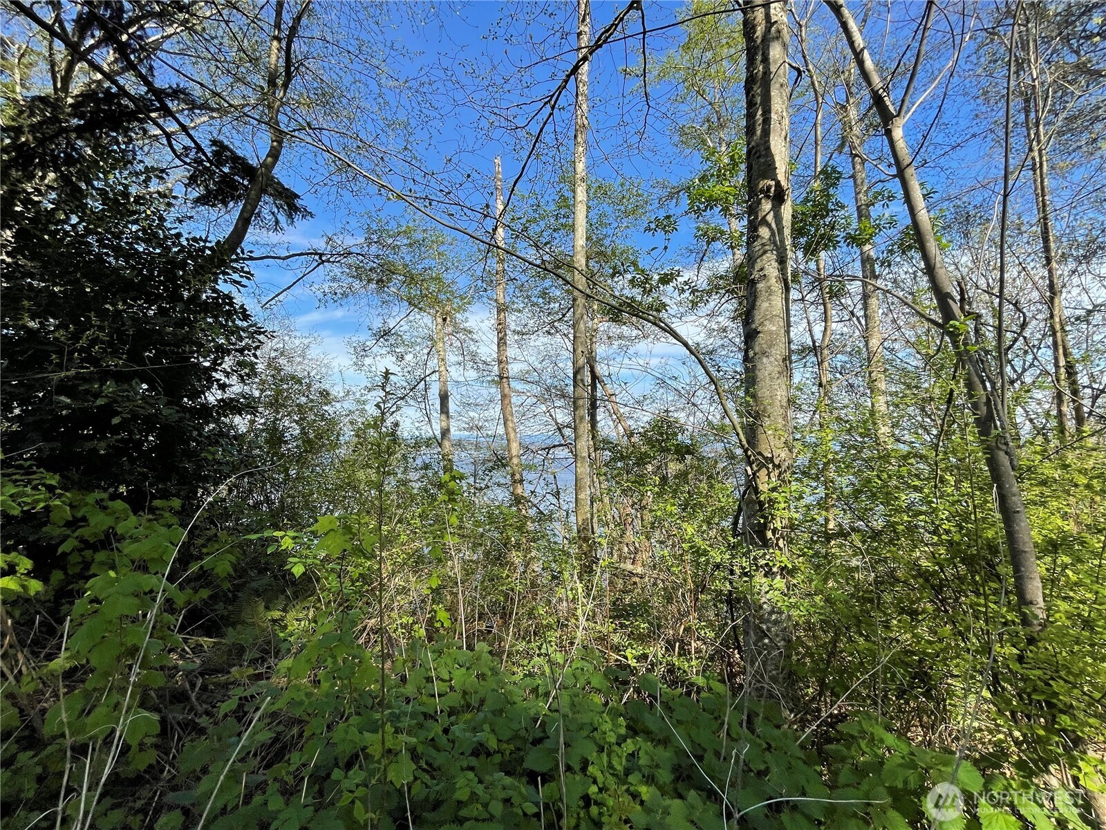 29 K Beach Way , Hat Island, WA 98206