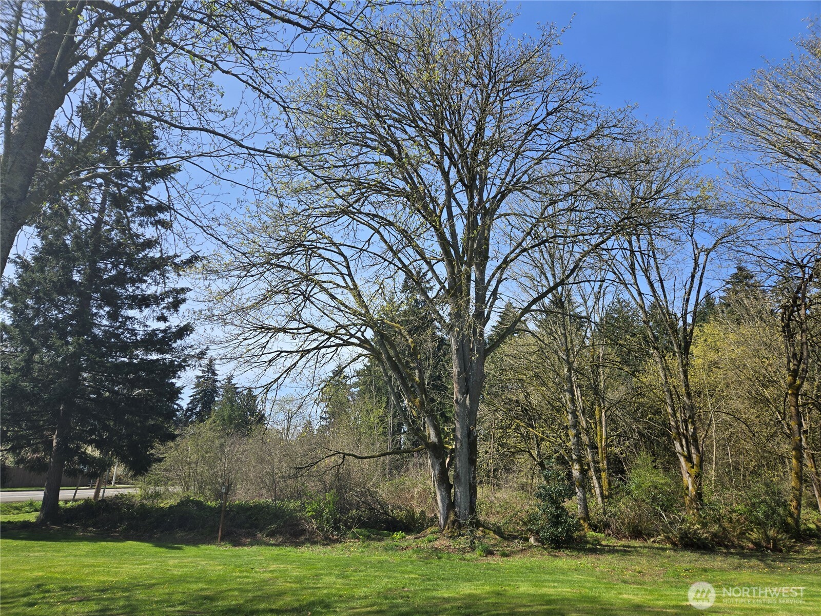 34249 21st Avenue SW, Federal Way, WA 98023
