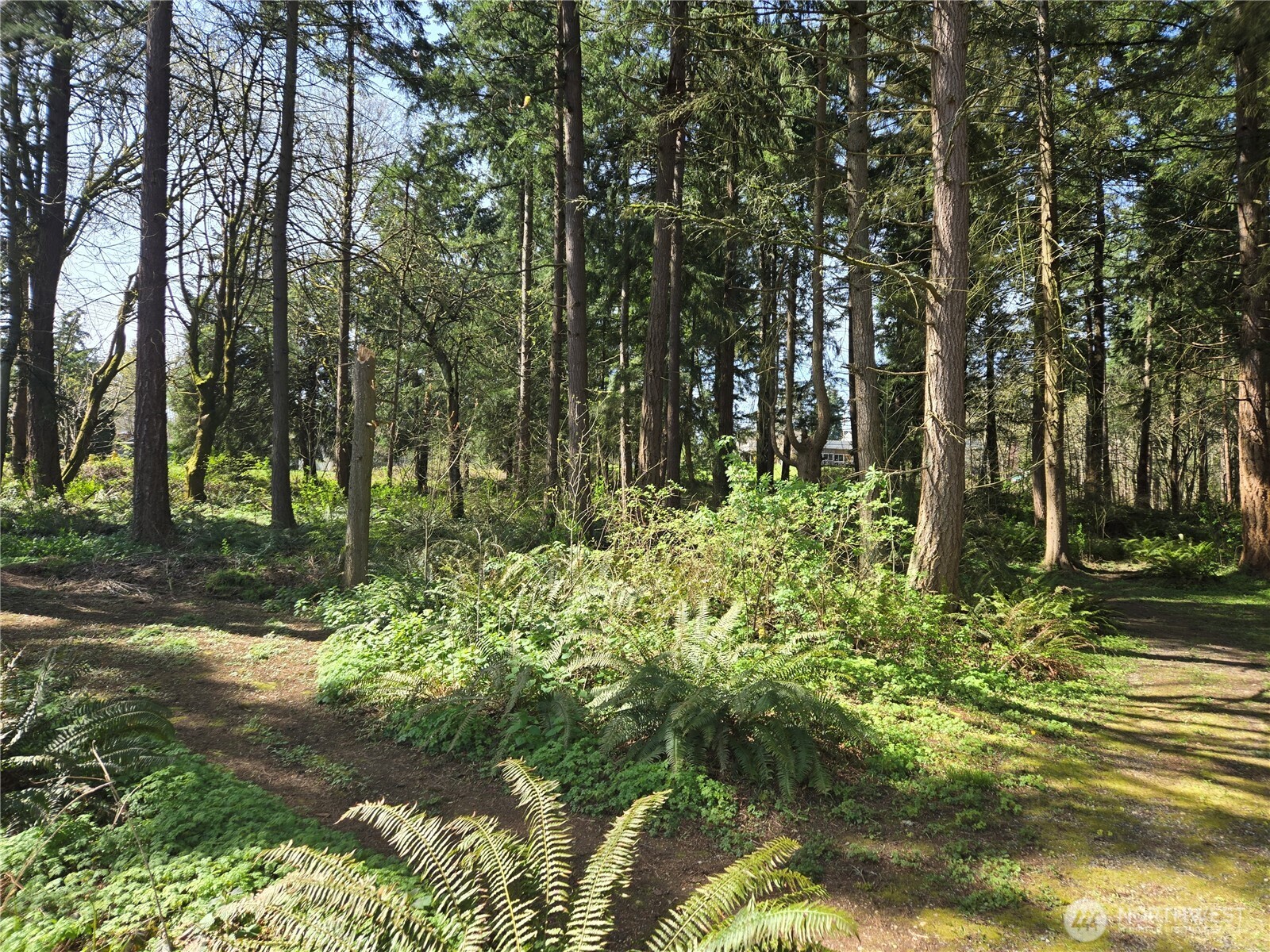 34249 21st Avenue SW, Federal Way, WA 98023