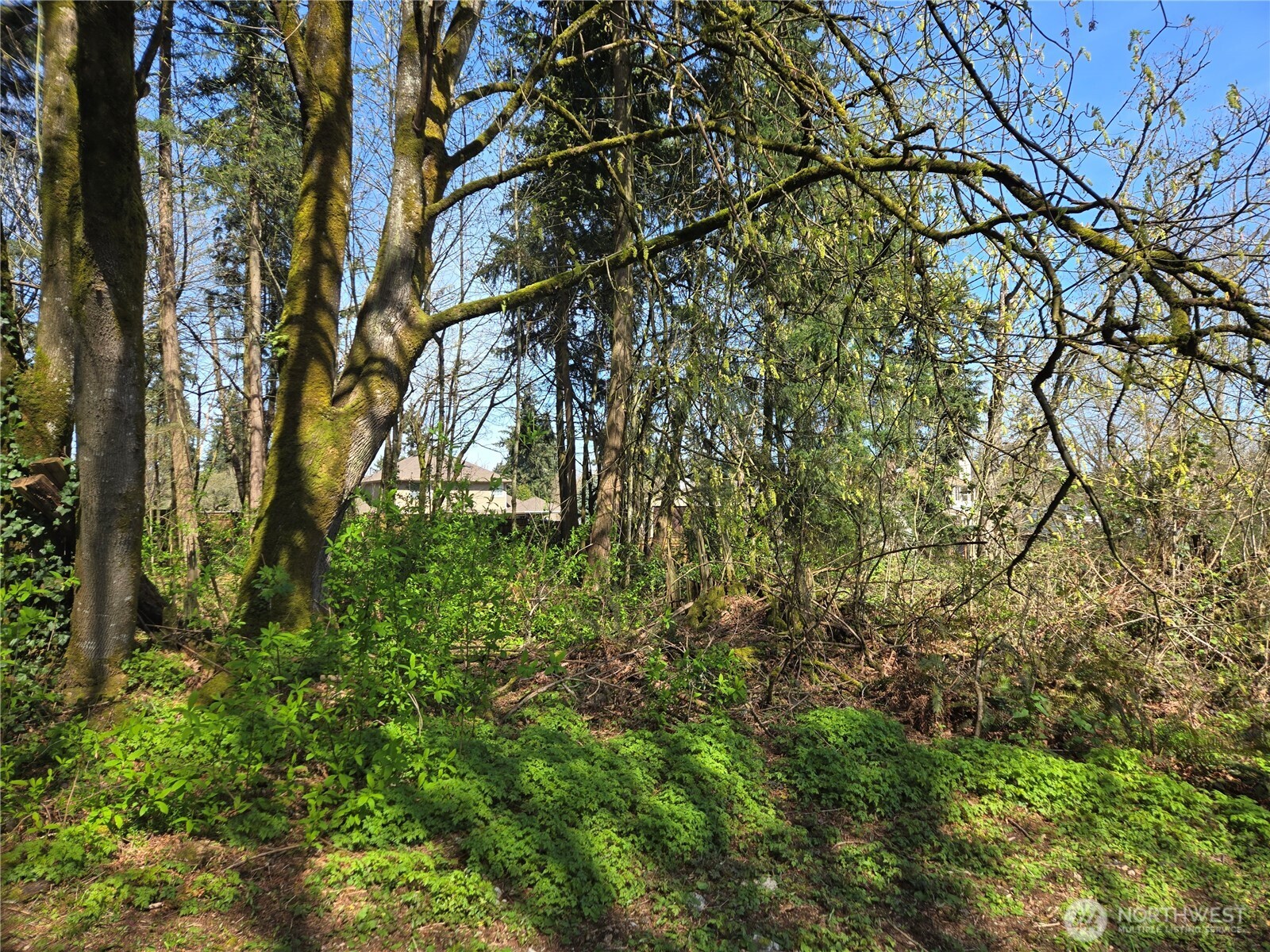 34249 21st Avenue SW, Federal Way, WA 98023