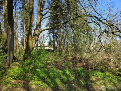 34249 21st Avenue SW, Federal Way, WA 98023 - Photo 19