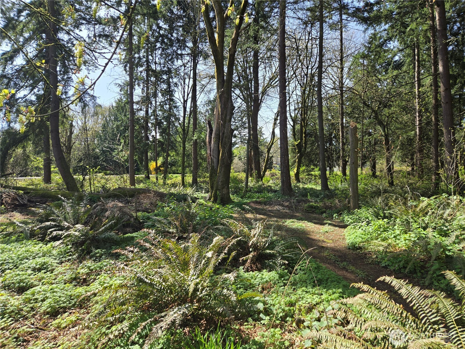 34249 21st Avenue SW, Federal Way, WA 98023