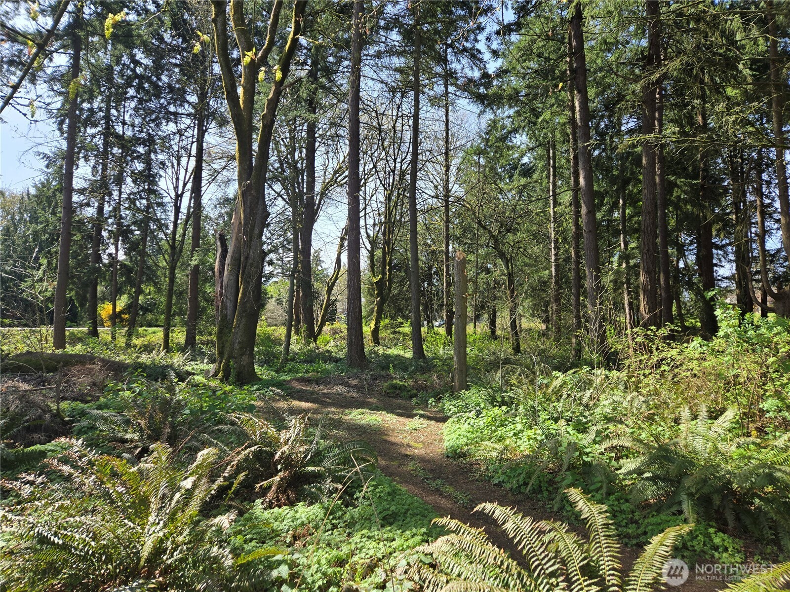 34249 21st Avenue SW, Federal Way, WA 98023