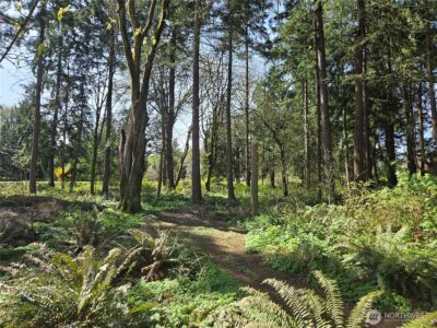 34249 21st Avenue SW, Federal Way, WA 98023 - Photo 22