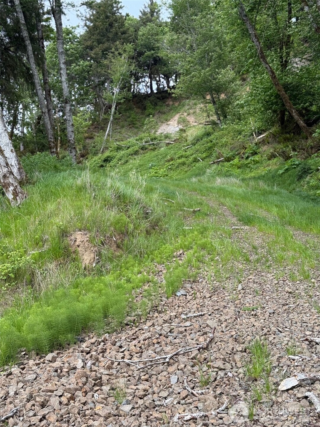 0 Altoona Pillar Rock Road , Rosburg, WA 98643-9668