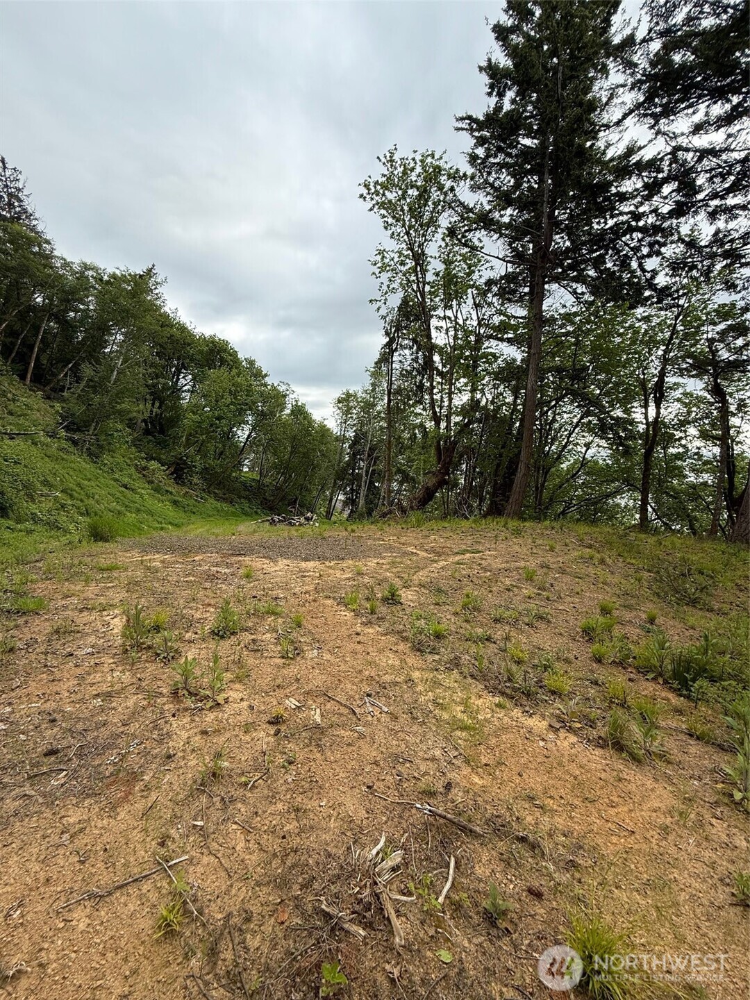 0 Altoona Pillar Rock Road , Rosburg, WA 98643-9668