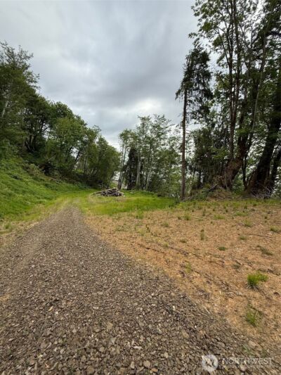 0 Altoona Pillar Rock Road , Rosburg, WA 98643-9668 - Photo 5