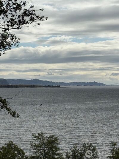 0 Altoona Pillar Rock Road , Rosburg, WA 98643-9668 - Photo 6