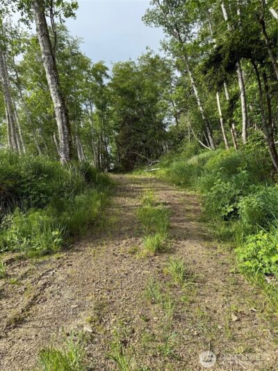 0 Altoona Pillar Rock Road , Rosburg, WA 98643-9668 - Photo 7