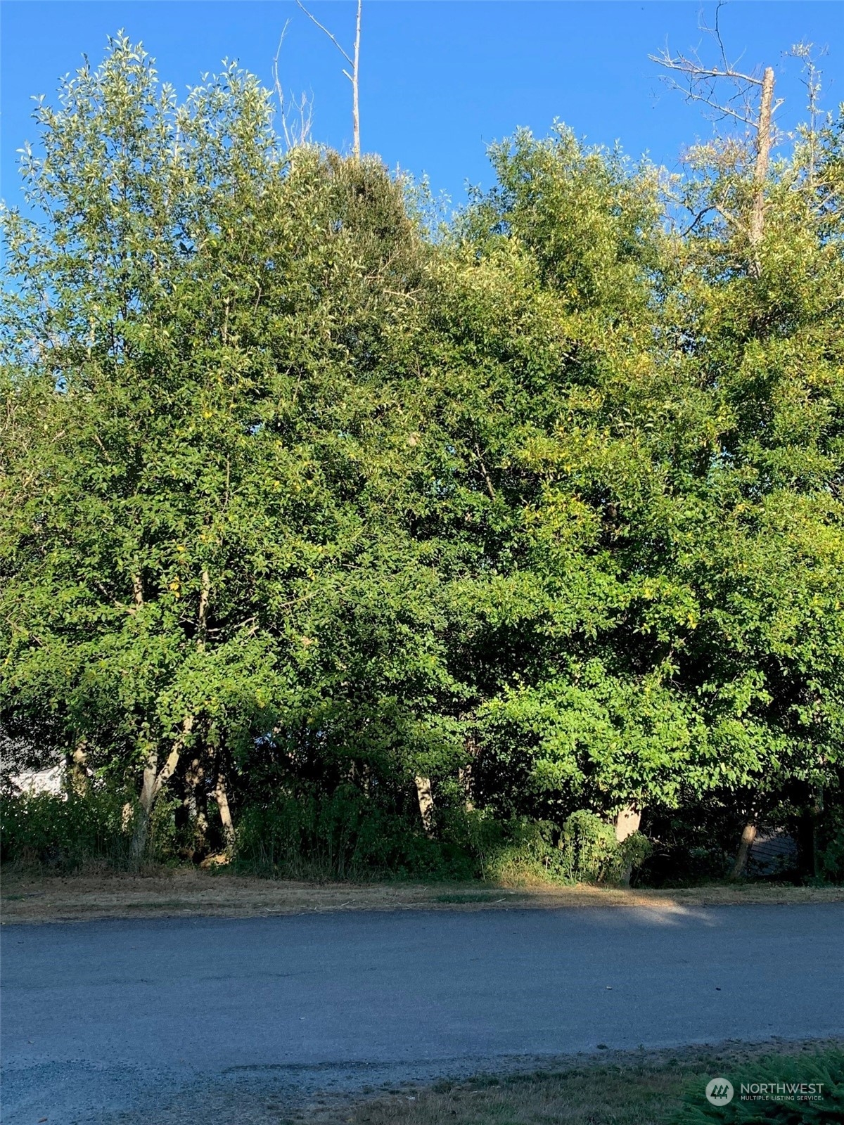 0 XXX Brittney Drive , Freeland, WA 98249