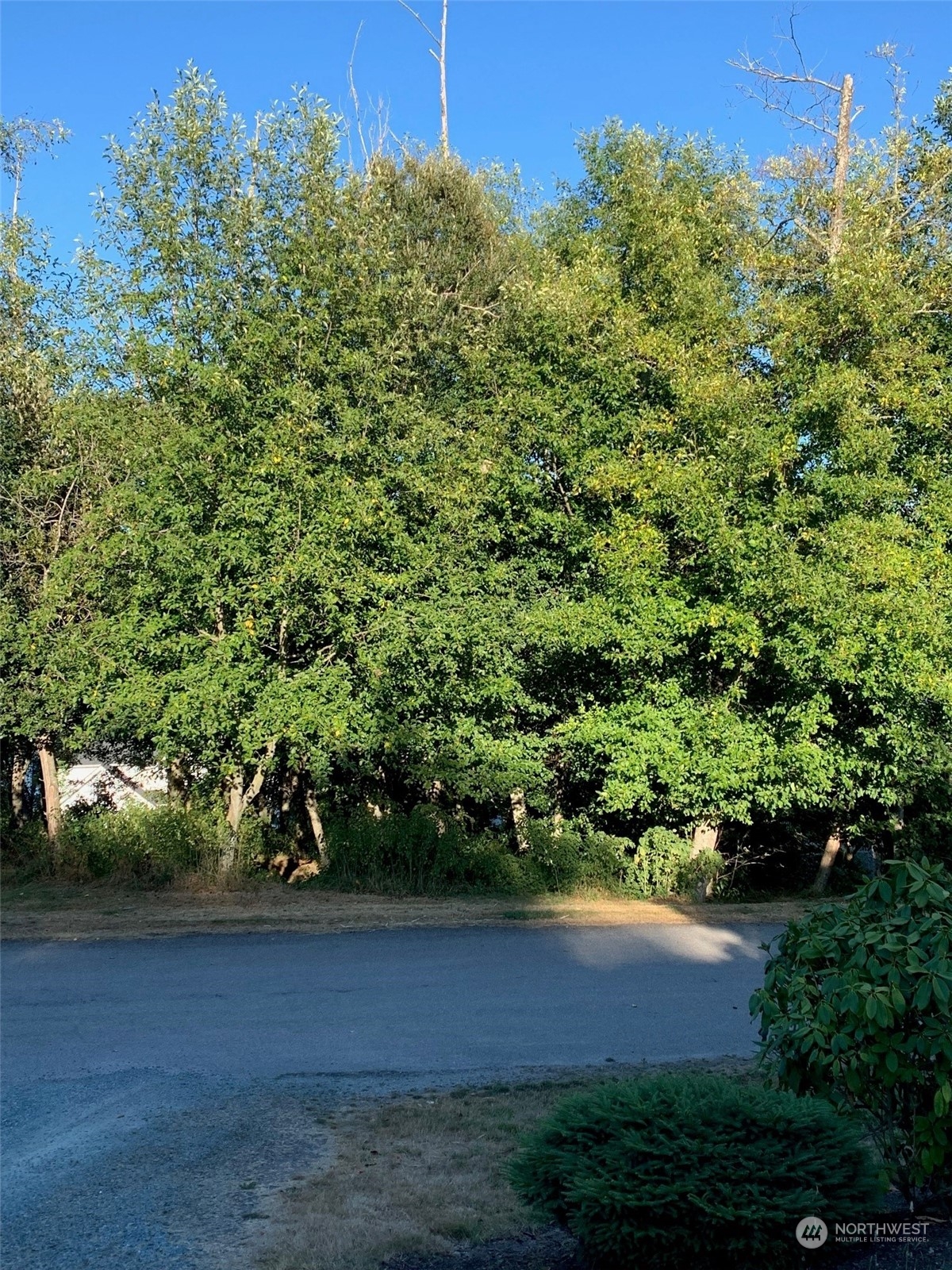 0 XXX Brittney Drive , Freeland, WA 98249