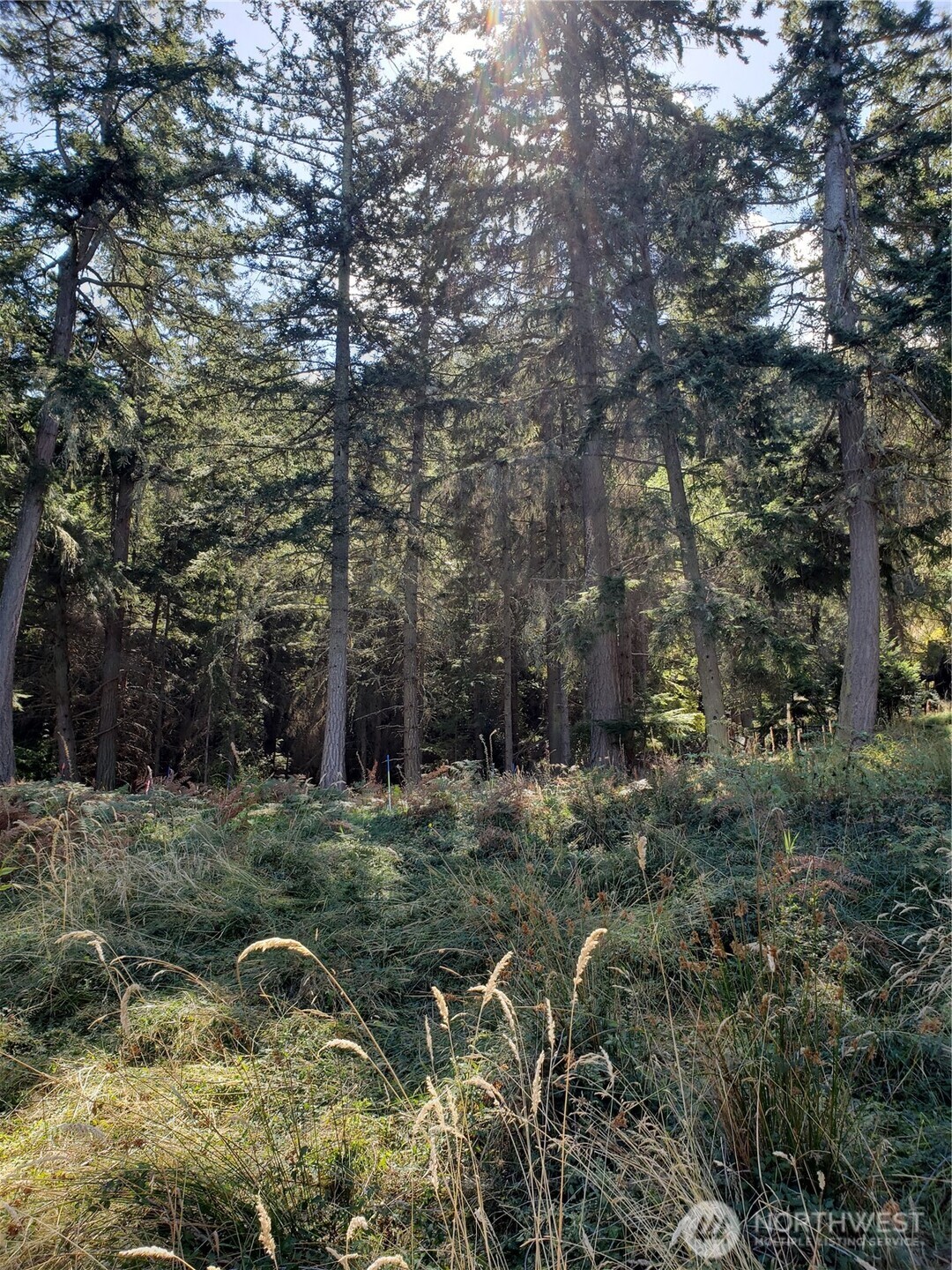 0 Raccoon Point Road #Lot 2, Orcas Island, WA 98245