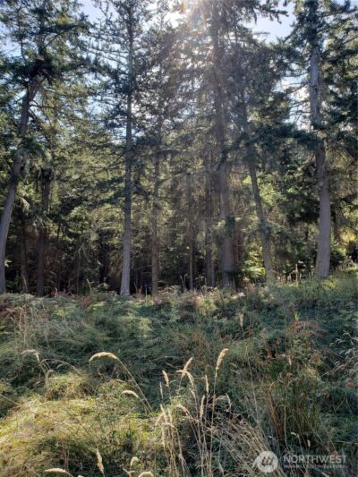 0 Raccoon Point Road #Lot 2, Orcas Island, WA 98245 - Photo 11