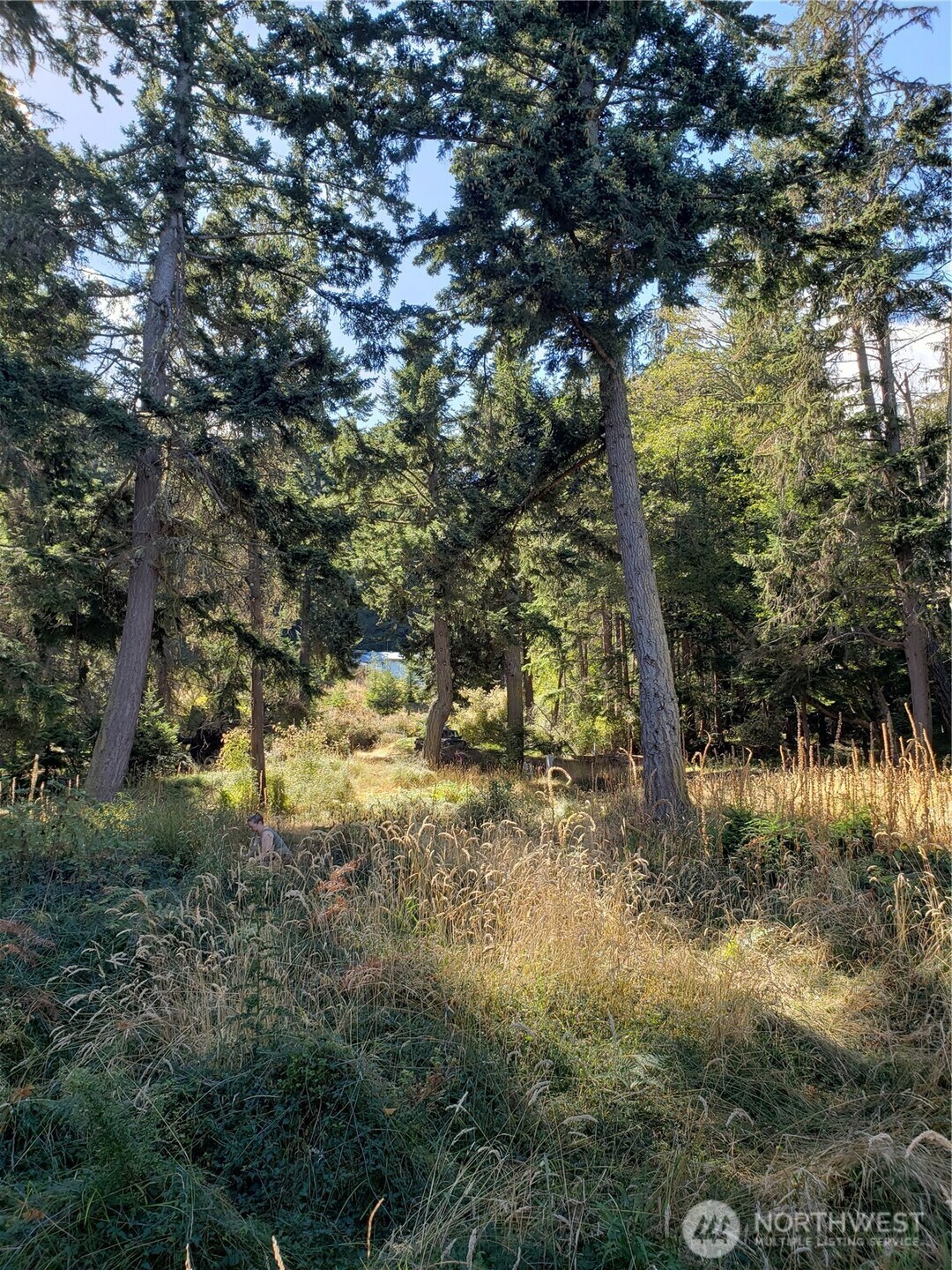 0 Raccoon Point Road #Lot 2, Orcas Island, WA 98245