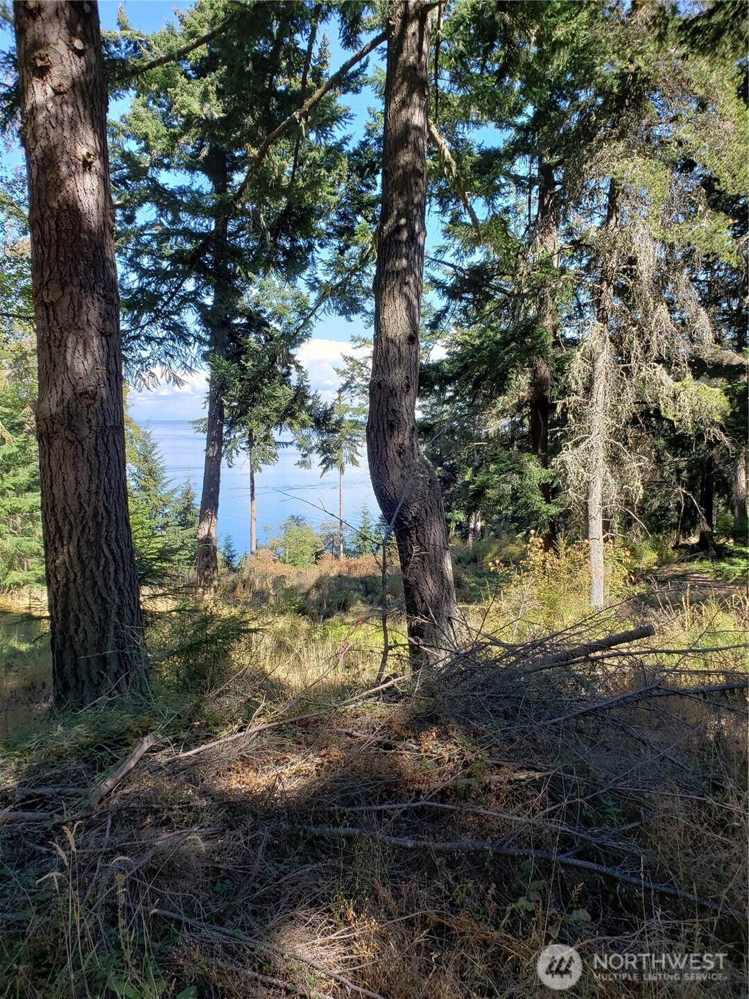 0 Raccoon Point Road #Lot 2, Orcas Island, WA 98245