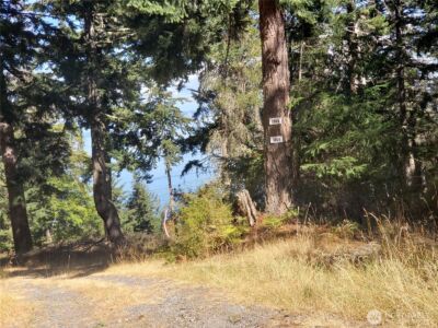 0 Raccoon Point Road #Lot 2, Orcas Island, WA 98245 - Photo 17