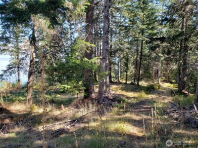 0 Raccoon Point Road #Lot 2, Orcas Island, WA 98245 - Photo 3