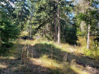 0 Raccoon Point Road #Lot 2, Orcas Island, WA 98245 - Photo 4