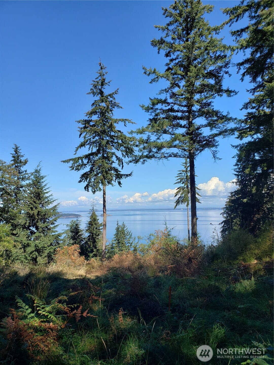 0 Raccoon Point Road #Lot 2, Orcas Island, WA 98245