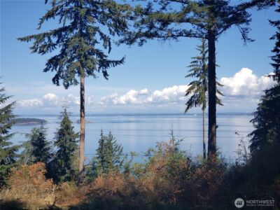 0 Raccoon Point Road #Lot 2, Orcas Island, WA 98245 - Photo 7