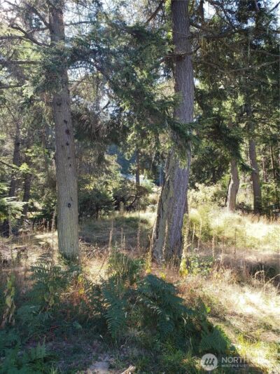 0 Raccoon Point Road #Lot 2, Orcas Island, WA 98245 - Photo 8