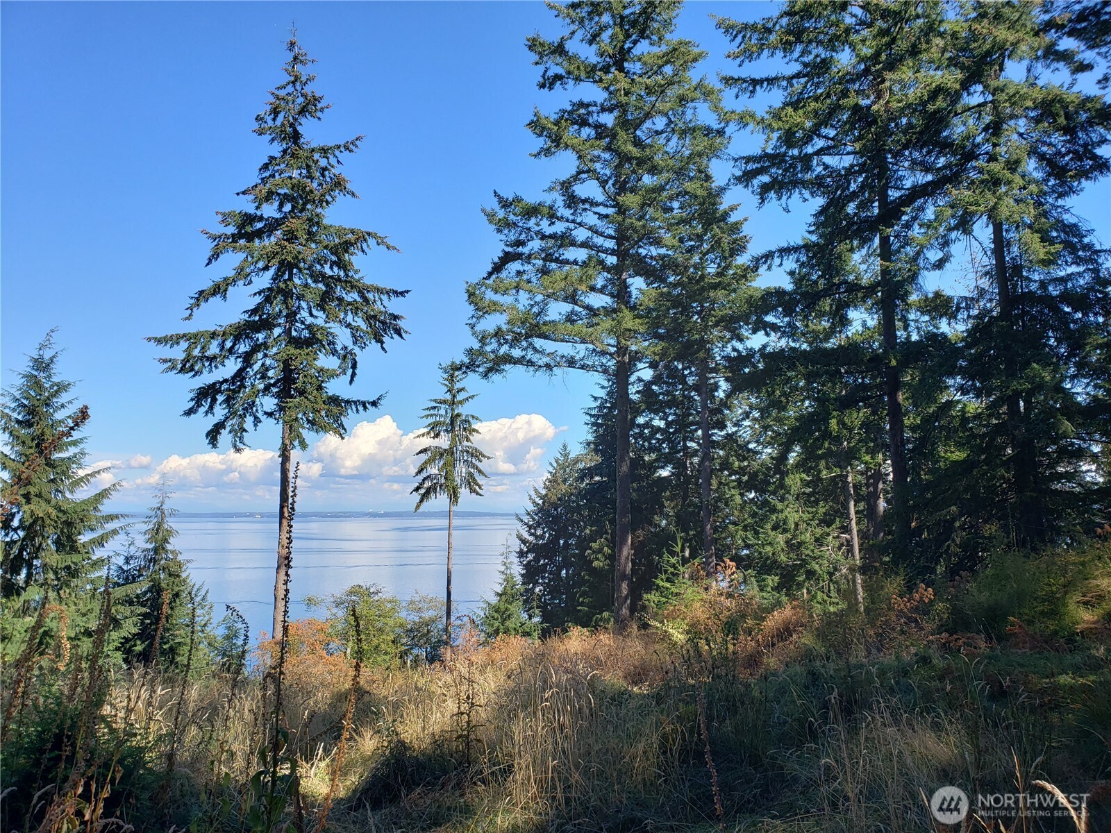 0 Raccoon Point Road #Lot 2, Orcas Island, WA 98245