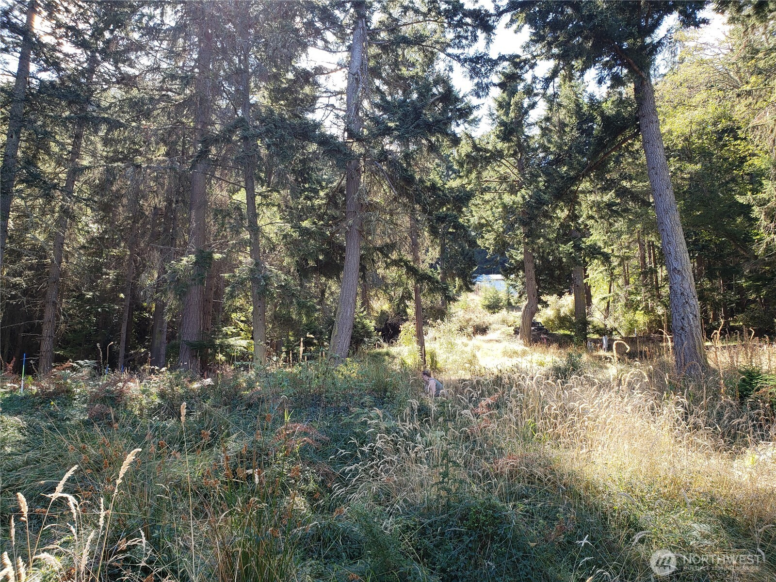 0 Raccoon Point Road #Lot 2, Orcas Island, WA 98245