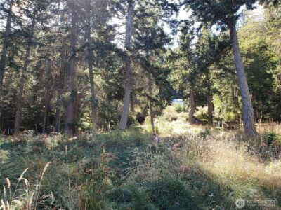 0 Raccoon Point Road #Lot 2, Orcas Island, WA 98245 - Photo 10