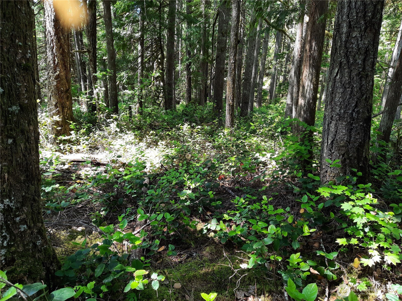 197 Cascade River Road , Marblemount, WA 98267